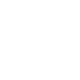 TNT Pest Control Icon Shield